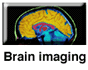 Indice della sezione dedicata al Brain Imaging
