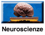 Indice della sezione dedicata alle Neuroscienze